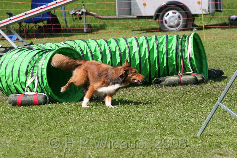 jubil.lusten. 322.jpg